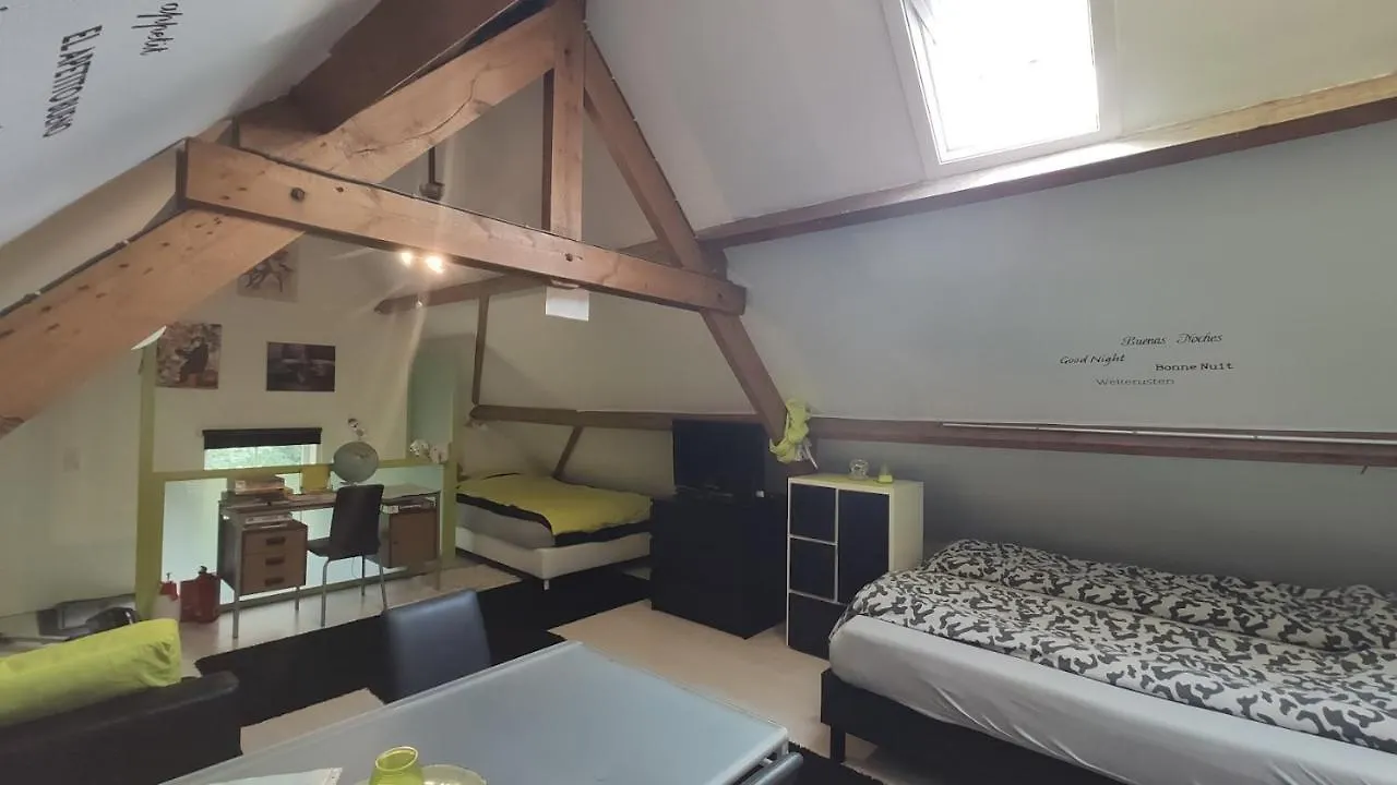 Apartamento Loft Brujas